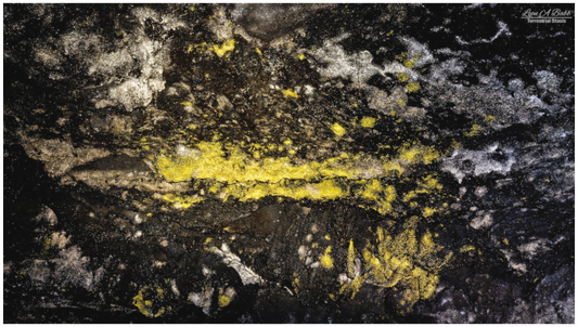Main image (10B) Luminous veins of the Kaūmana caves 2
