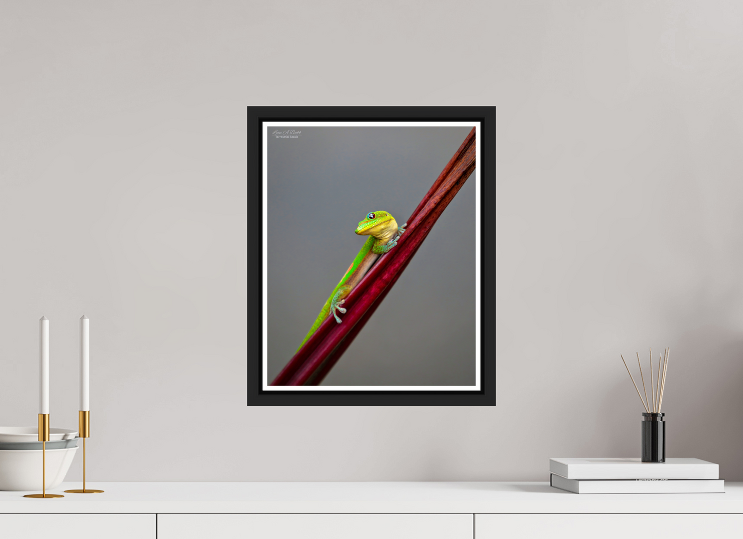 12 x 15″, Black Matte Floater Frame with Acrylic Glass (08R) Focused Stare