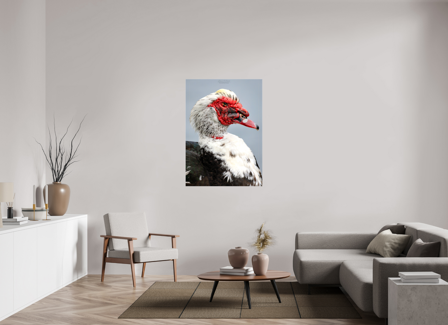 35 x 49″, Glossy Canvas Stretcher Frame with Mirrored Edges (08S) Male Muscovy Duck Portrait