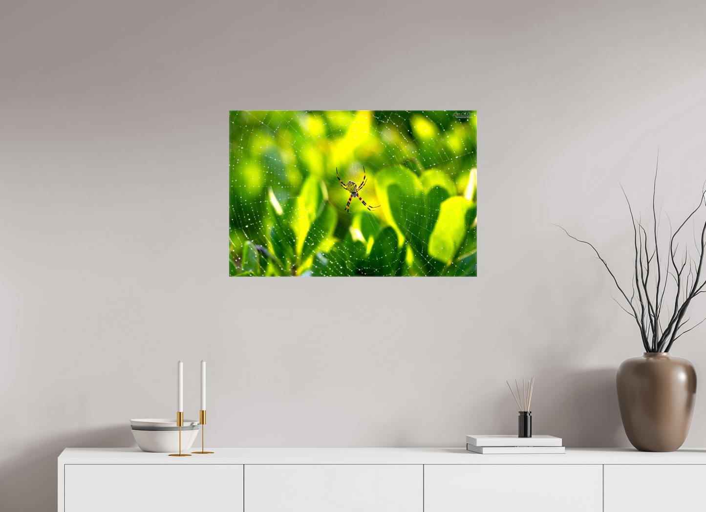30 x 20″, Glossy Canvas Stretcher Frame with Mirrored Edges (09C) Hawaiian Garden Spider