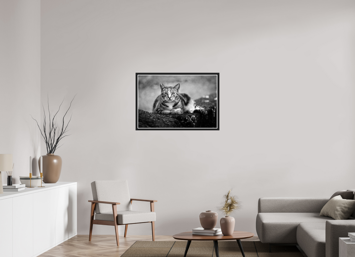 36 x 24″, Black Matte Floater Frame with Acrylic Glass (08G) Hawaii Strays in BnW