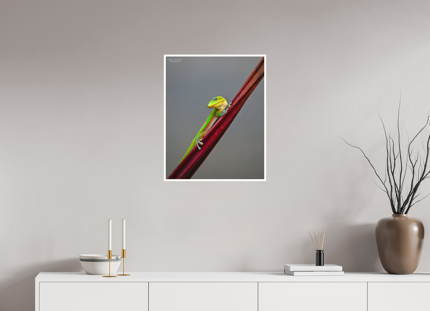20 x 25″, Print with Matte Lamination (08R) Focused Stare