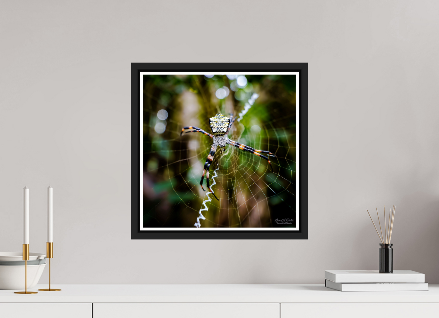 15 x 15″, Black Matte Floater Frame with Acrylic Glass (09A) Spider on the trail