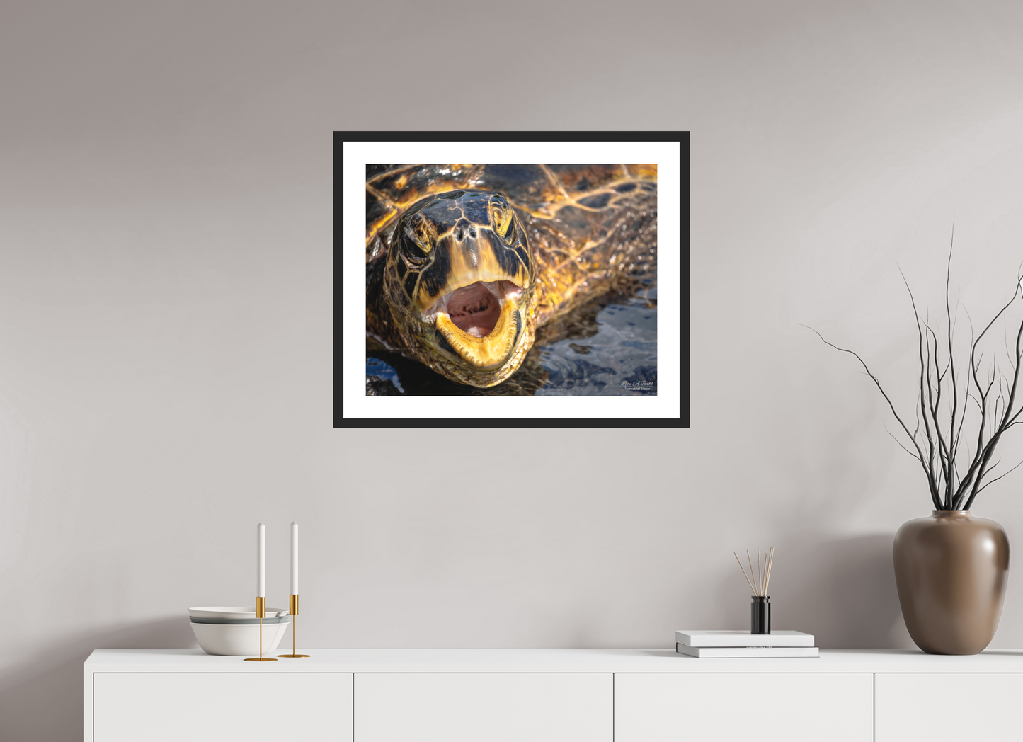 25 x 20″, Classic Black Matte Wood Frame (000) Honu’s Serenade
