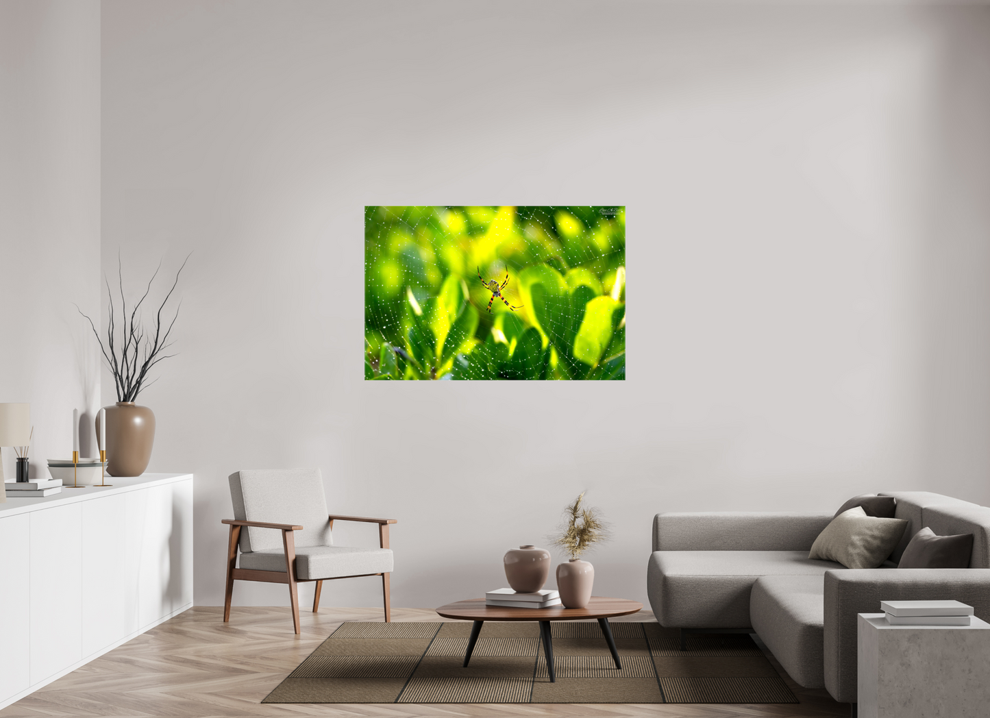 54 x 36″, Glossy Canvas Stretcher Frame with Mirrored Edges (09C) Hawaiian Garden Spider