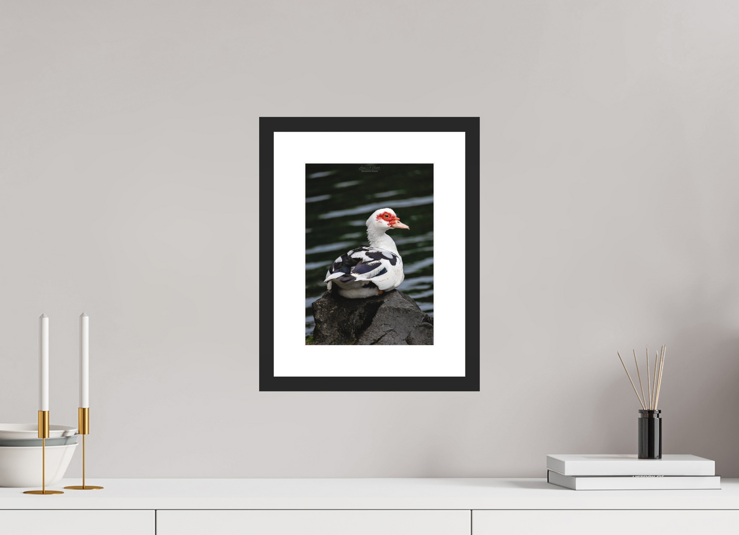 8 x 11.2″, Classic Black Matte Wood Frame (08T) Female Muscovy Duck Portrait