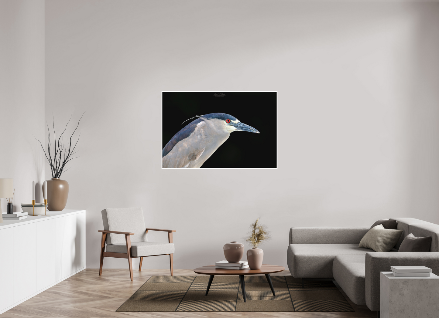 54 x 36″, Photo Print with Matte Lamination (08B) Black-crowned Night Heron