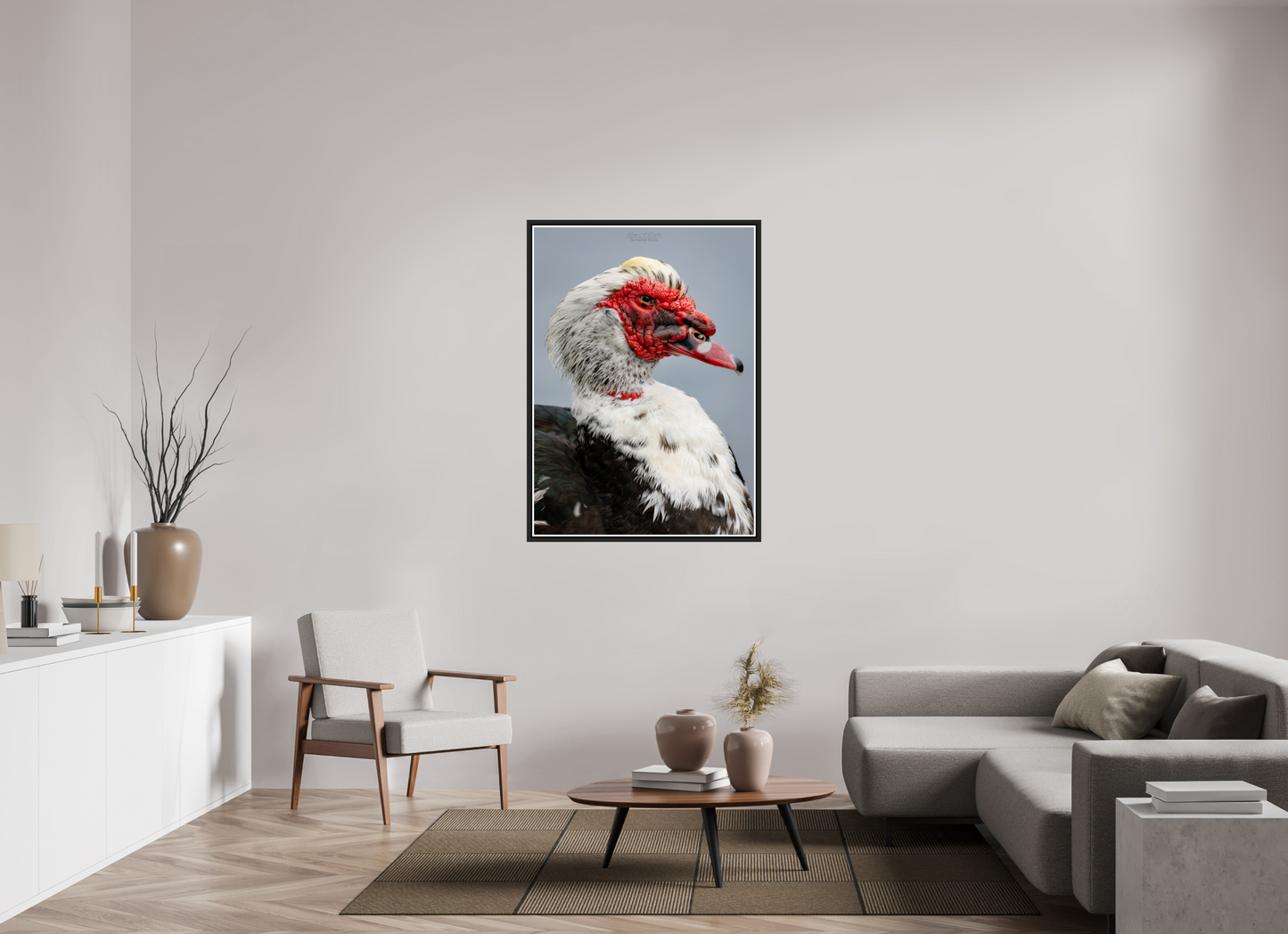 35 x 49″, Black Matte Floater Frame with Acrylic Glass (08S) Male Muscovy Duck Portrait