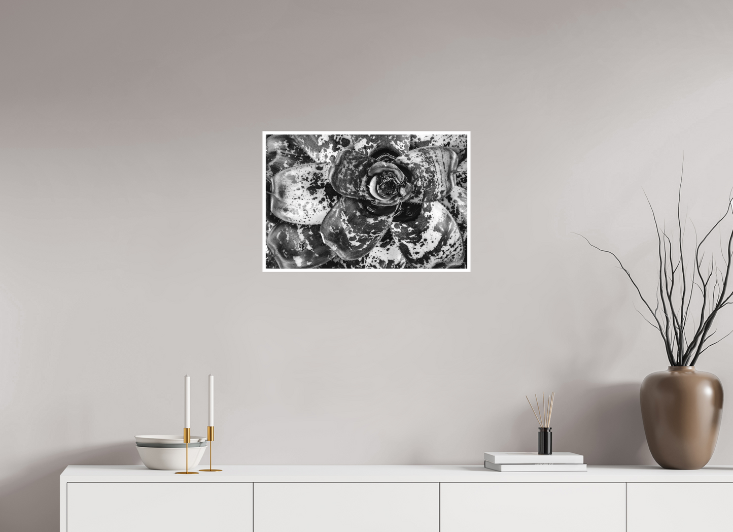 24 x 16″, Photo Print with Matte Lamination (07C) BnW Plant