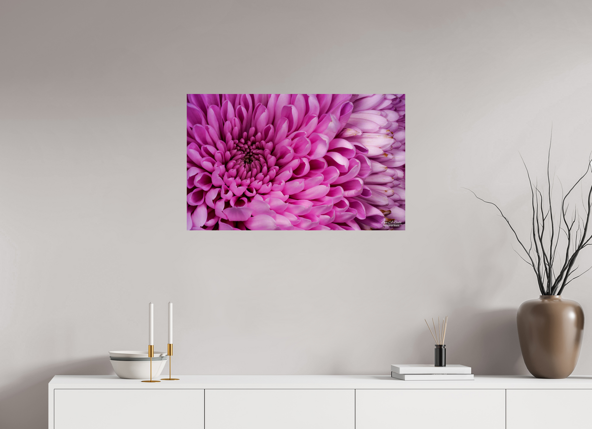 32 x 20″, Print with Aluminum Backing and Glossy Lamination ???
