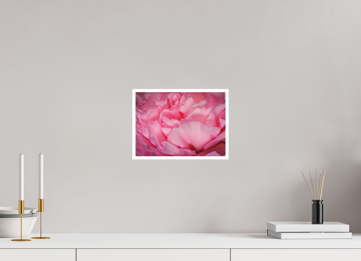 11.2 x 8″, Print with Matte Lamination Radiant Pink Petals