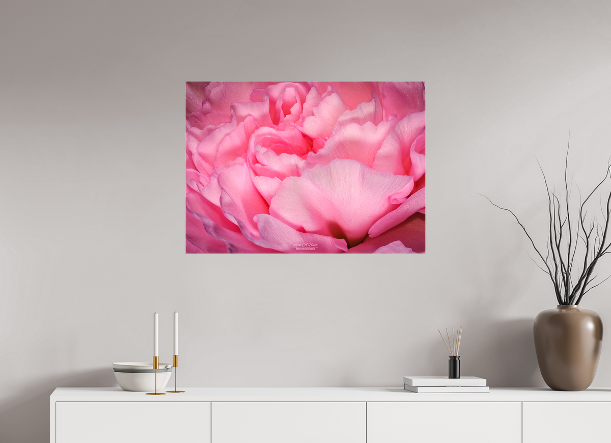33.6 x 24″, Glossy Canvas Stretcher Frame with Mirrored Edges Radiant Pink Petals