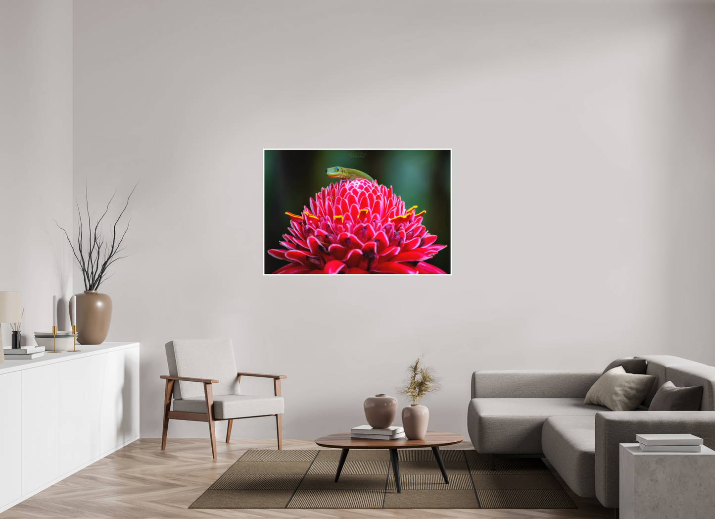 54 x 36″, Photo Print with Matte Lamination (08F) Gecko on a flower