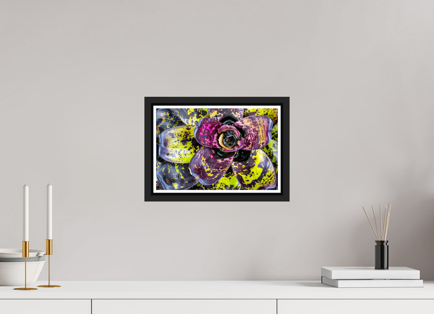 12 x 8″, Black Matte Floater Frame with Acrylic Glass (07B) Botanical Radiance