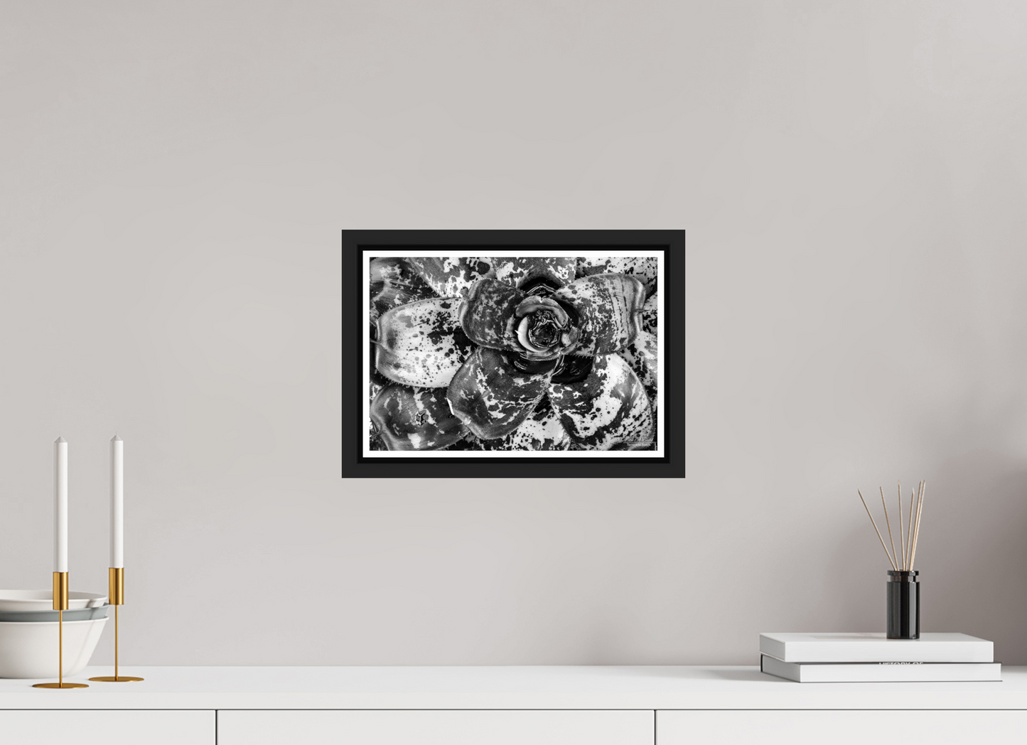 12 x 8″, Black Matte Floater Frame with Acrylic Glass (07C) Monochrome Bloom