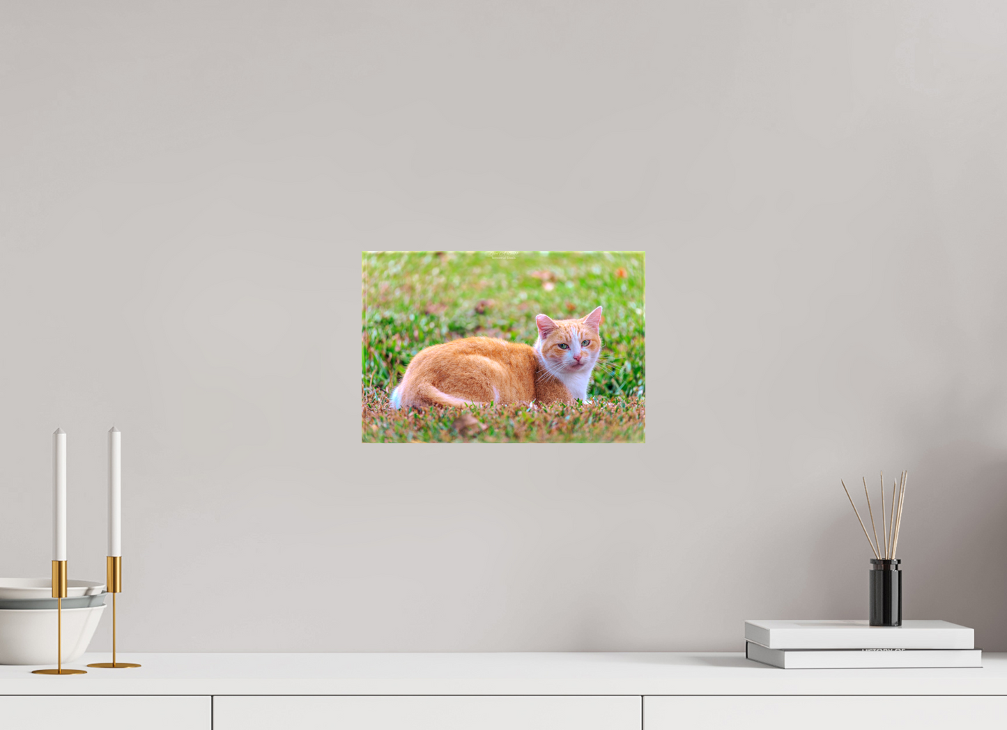 12 x 8″, Glossy Canvas (08I) Spirit of the Park