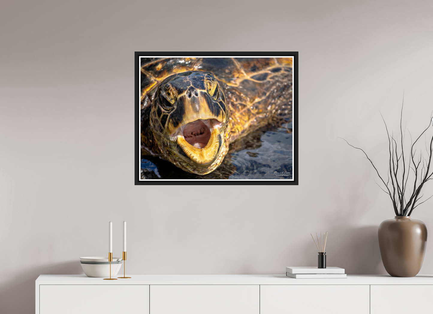 30 x 24″, Black Matte Floater Frame with Acrylic Glass (000) Honu’s Serenade