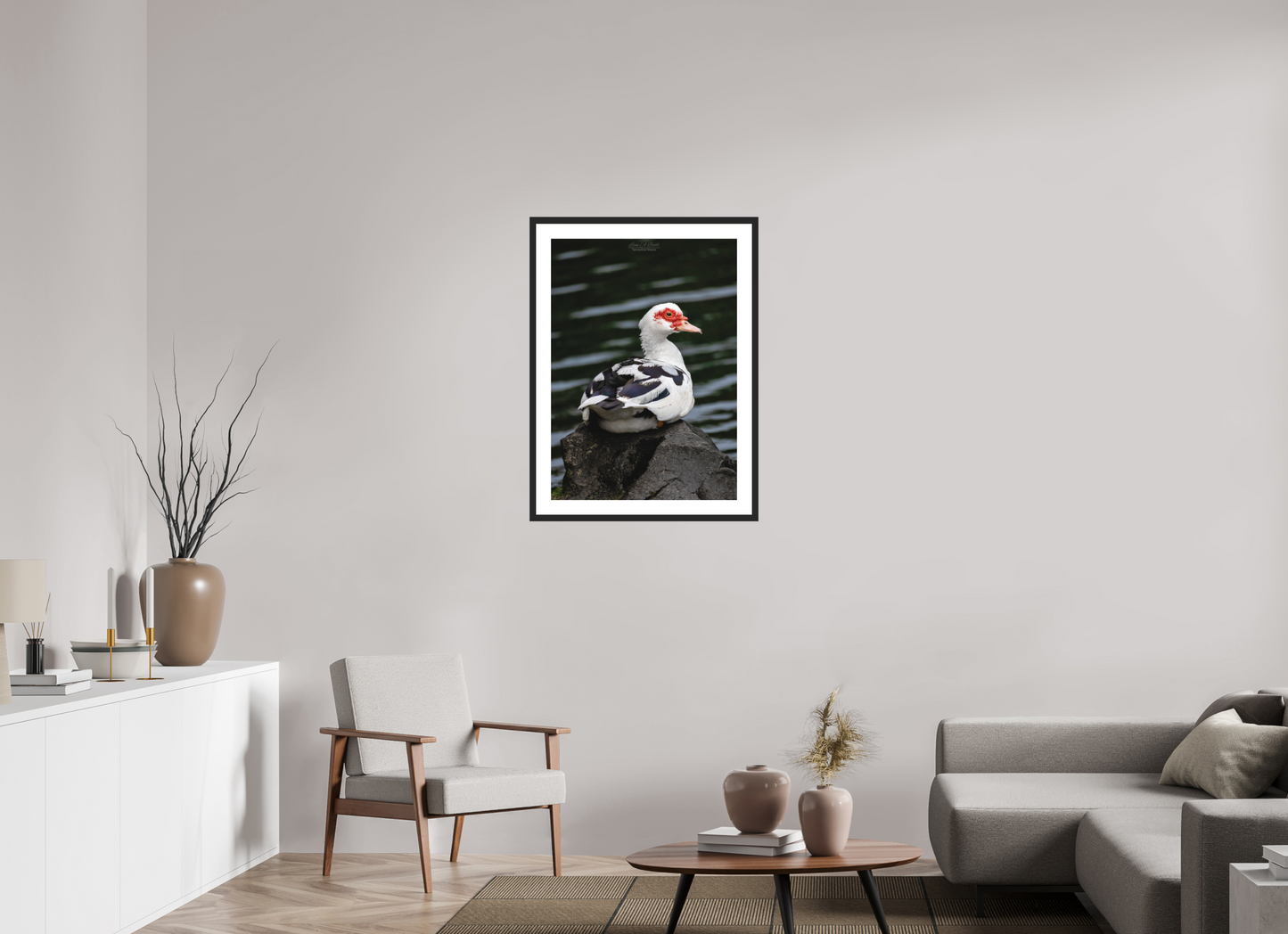 24 x 33.6″, Classic Black Matte Wood Frame (08T) Female Muscovy Duck Portrait