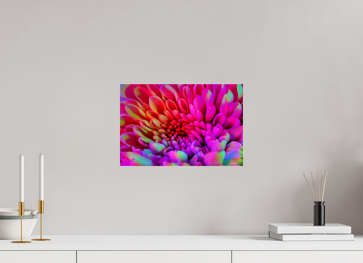 15 x 10″, Photo Print Under Acrylic Glass ????