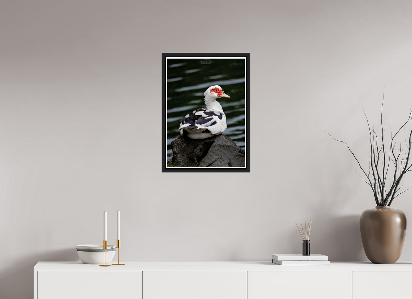 16 x 22.4″, Black Matte Floater Frame with Acrylic Glass (08T) Female Muscovy Duck Portrait