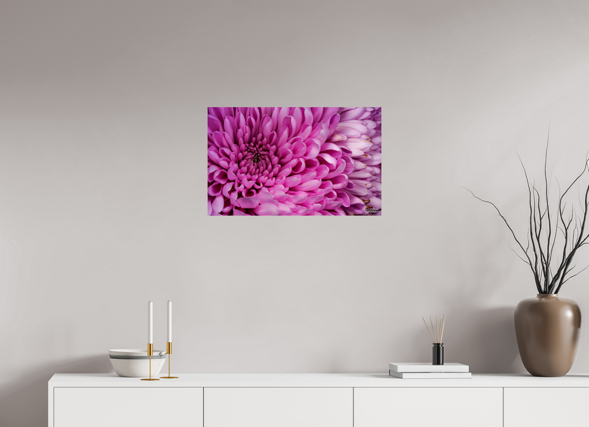 25.6 x 16″, Print with Aluminum Backing and Glossy Lamination ???