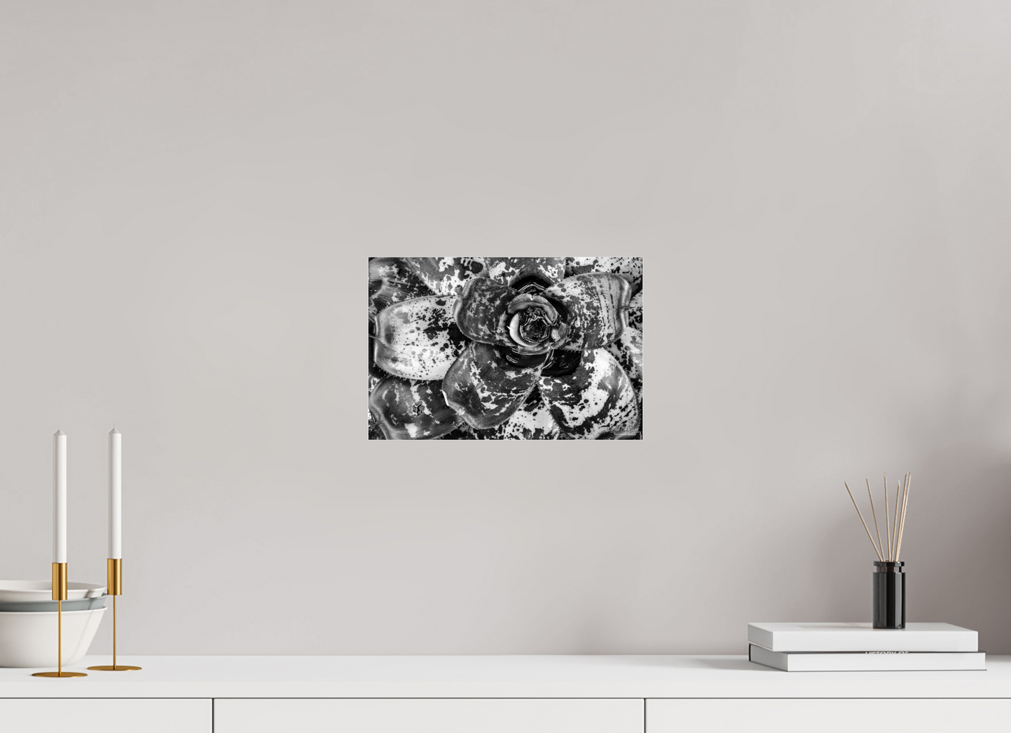 12 x 8″, Photo Print Under Acrylic Glass (07C) Monochrome Bloom