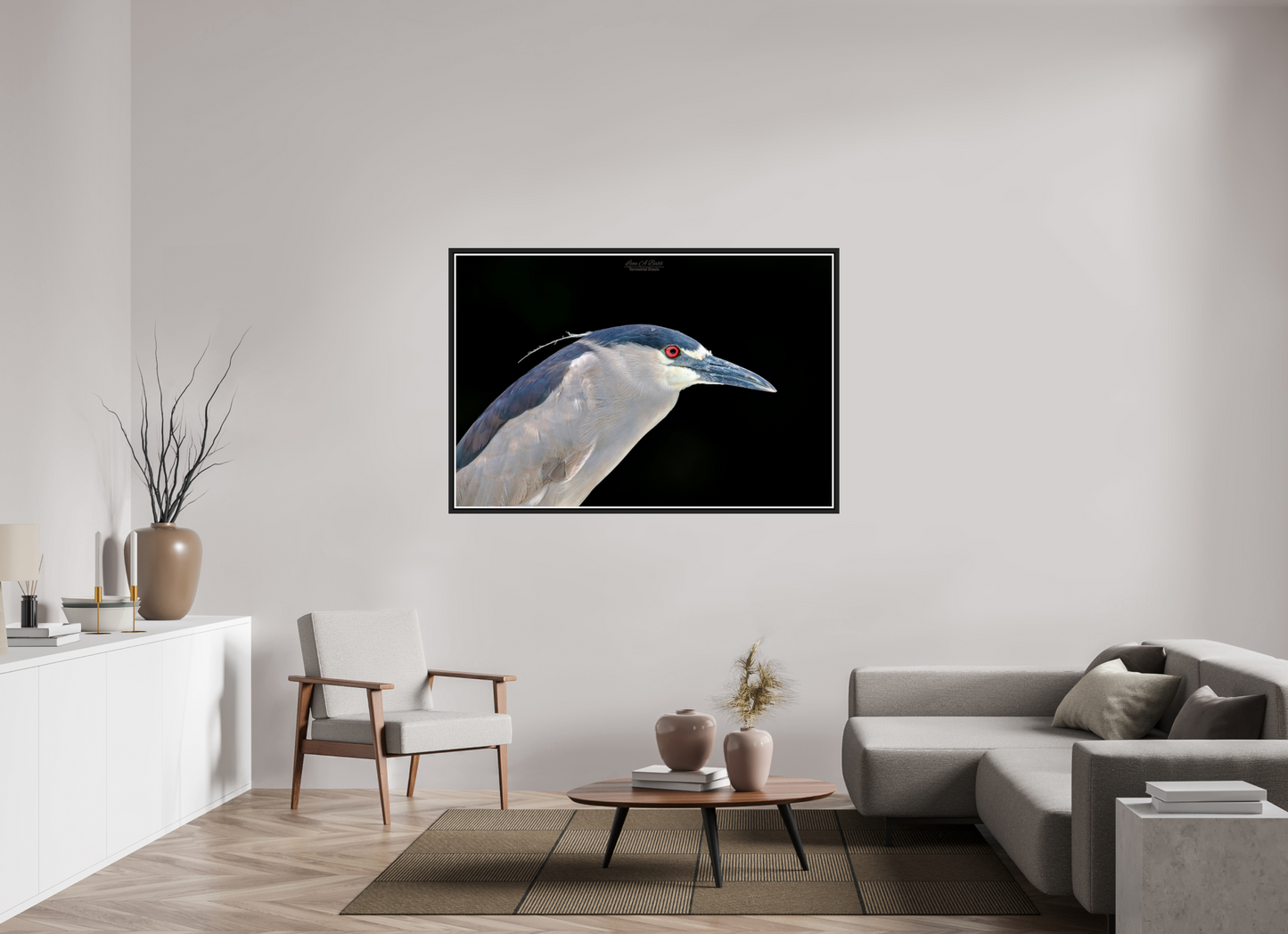 60 x 40″, Black Matte Floater Frame with Acrylic Glass (08B) Black-crowned Night Heron