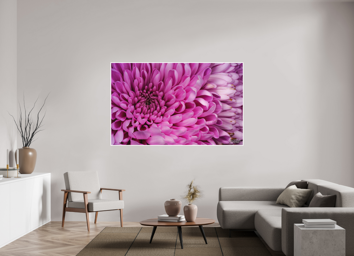 75.2 x 47″, Print with Matte Lamination ???