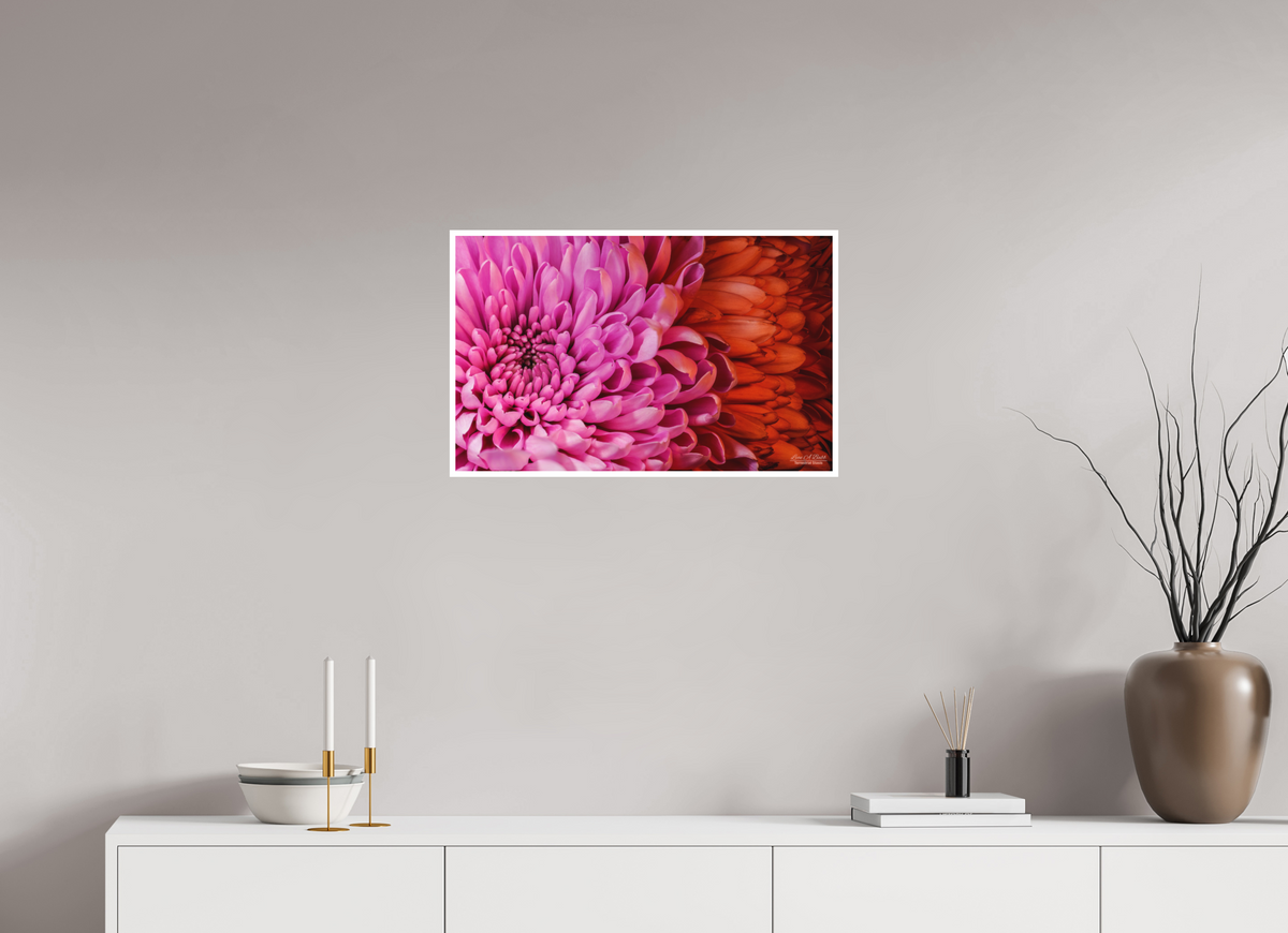 25.6 x 16″, Print with Matte Lamination ??