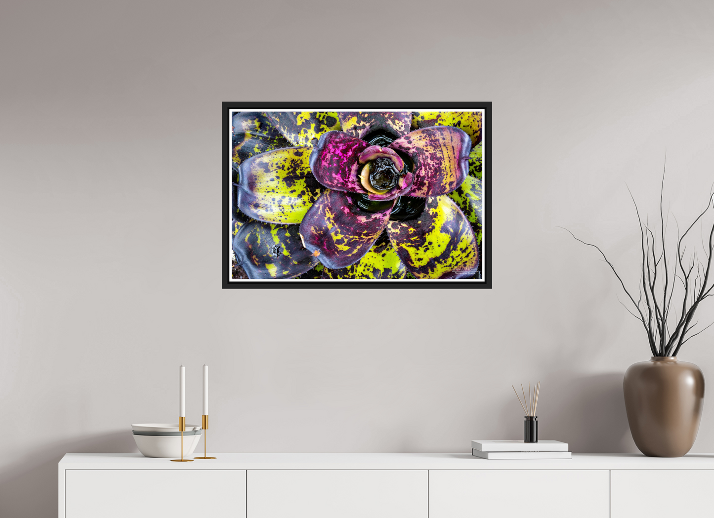 30 x 20″, Black Matte Floater Frame with Acrylic Glass (07B) Colorful Plant