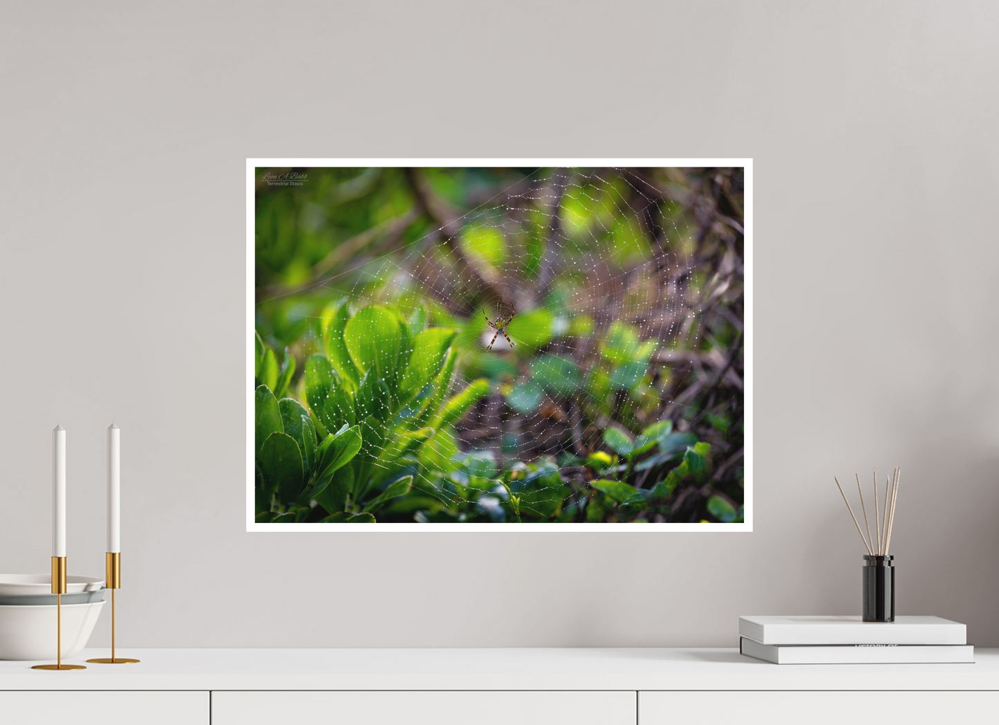 22 x 16″, Print with Matte Lamination Hawaiian Garden Spider Web