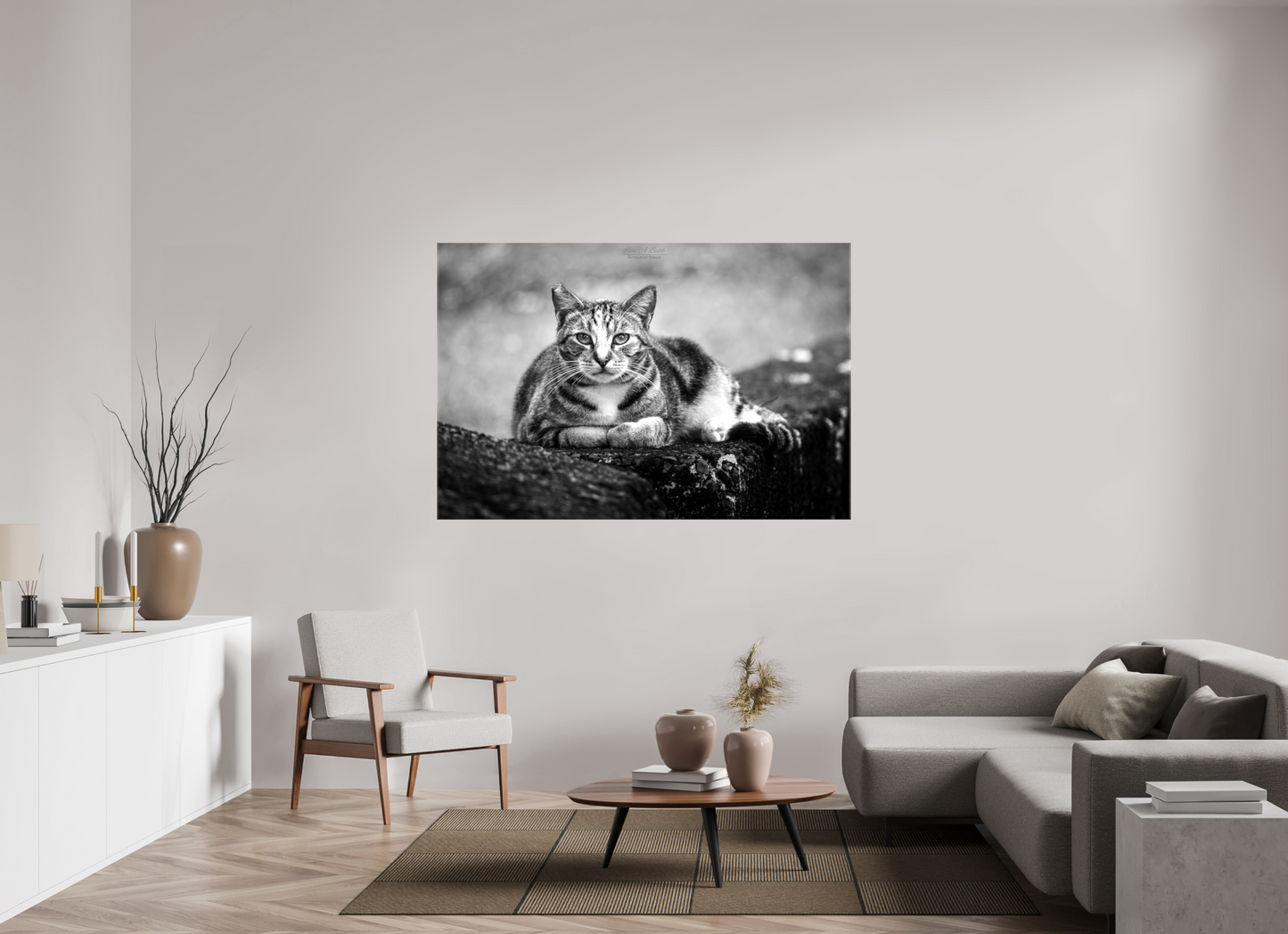 (08G) Hawaii Strays in BnW