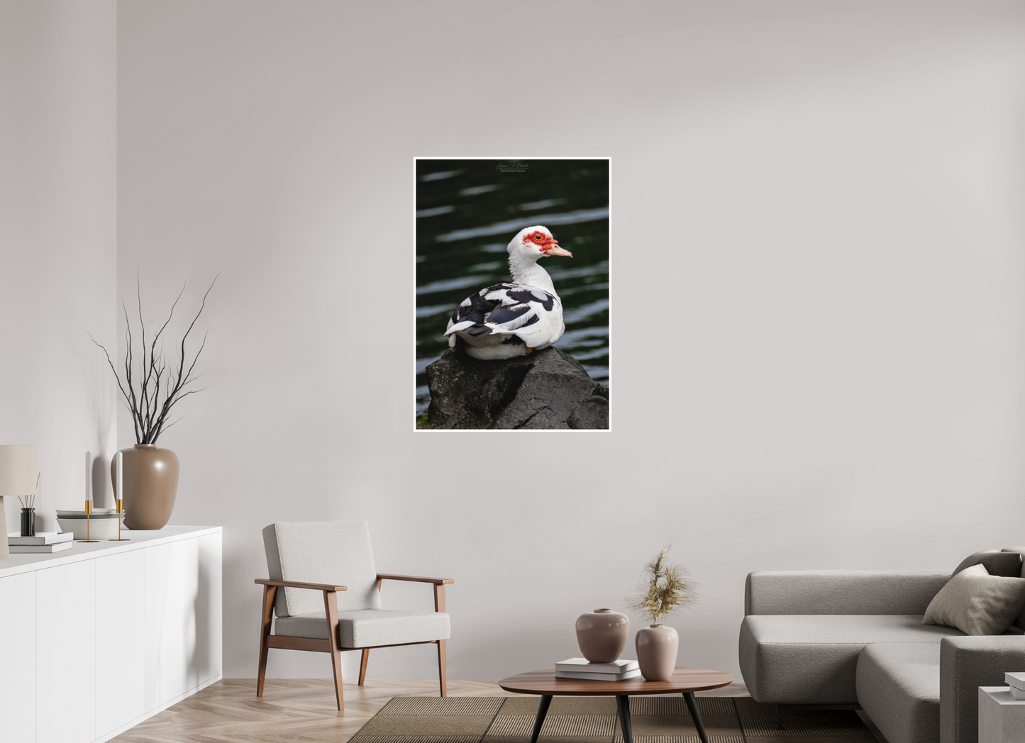 31 x 43.4″, Print with Matte Lamination (08T) Female Muscovy Duck Portrait