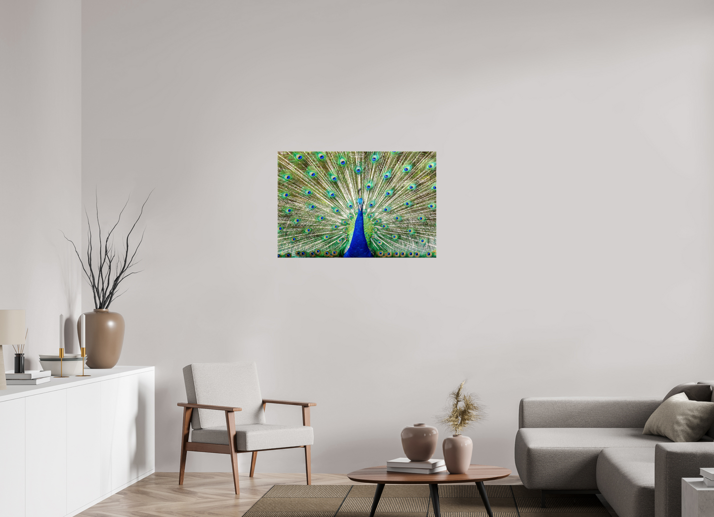 (08C) Peacock Display