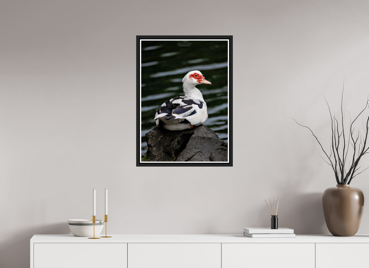 20 x 28″, Black Matte Floater Frame with Acrylic Glass (08T) Female Muscovy Duck Portrait