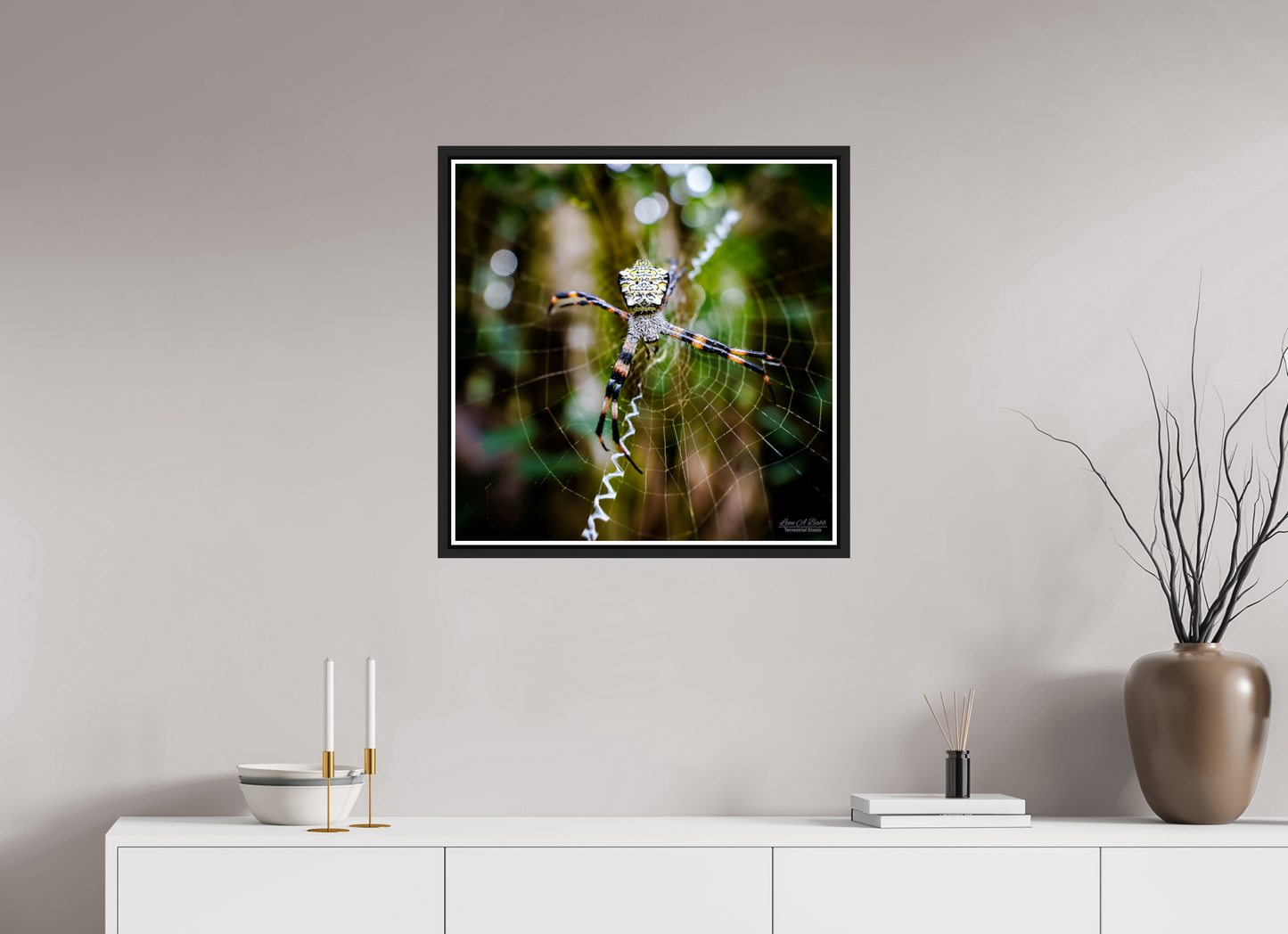 25 x 25″, Black Matte Floater Frame with Acrylic Glass (09A) Spider on the trail