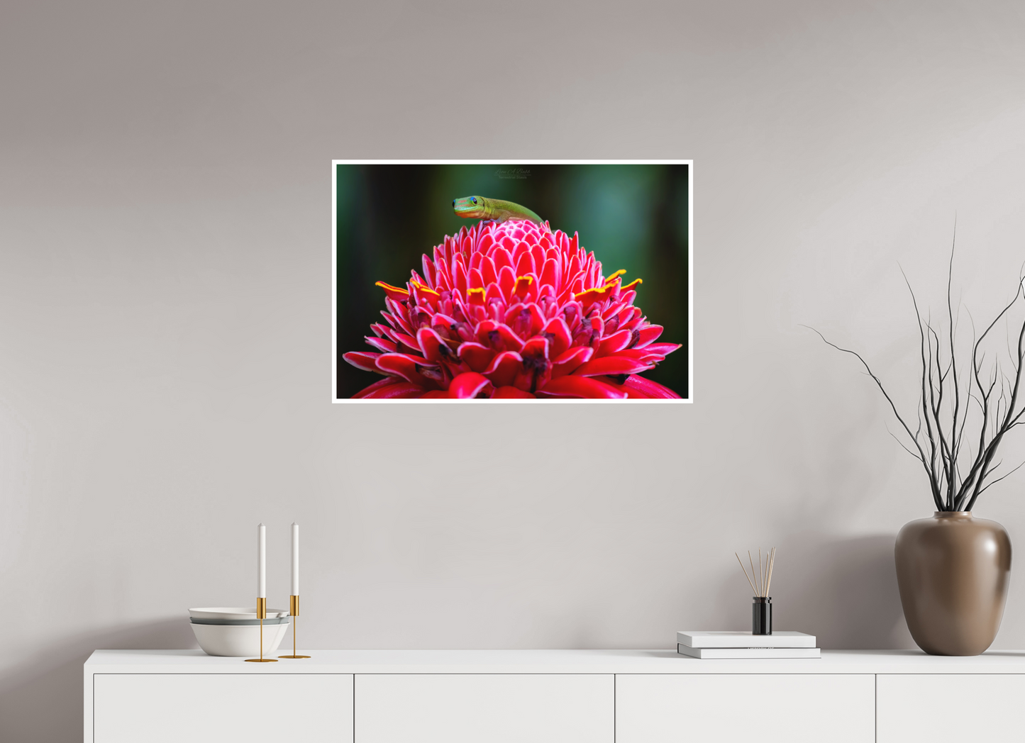 30 x 20″, Photo Print with Matte Lamination (08F) Gecko on a flower