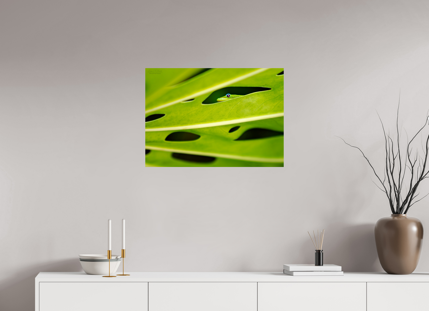 (08E) Hidden Gecko