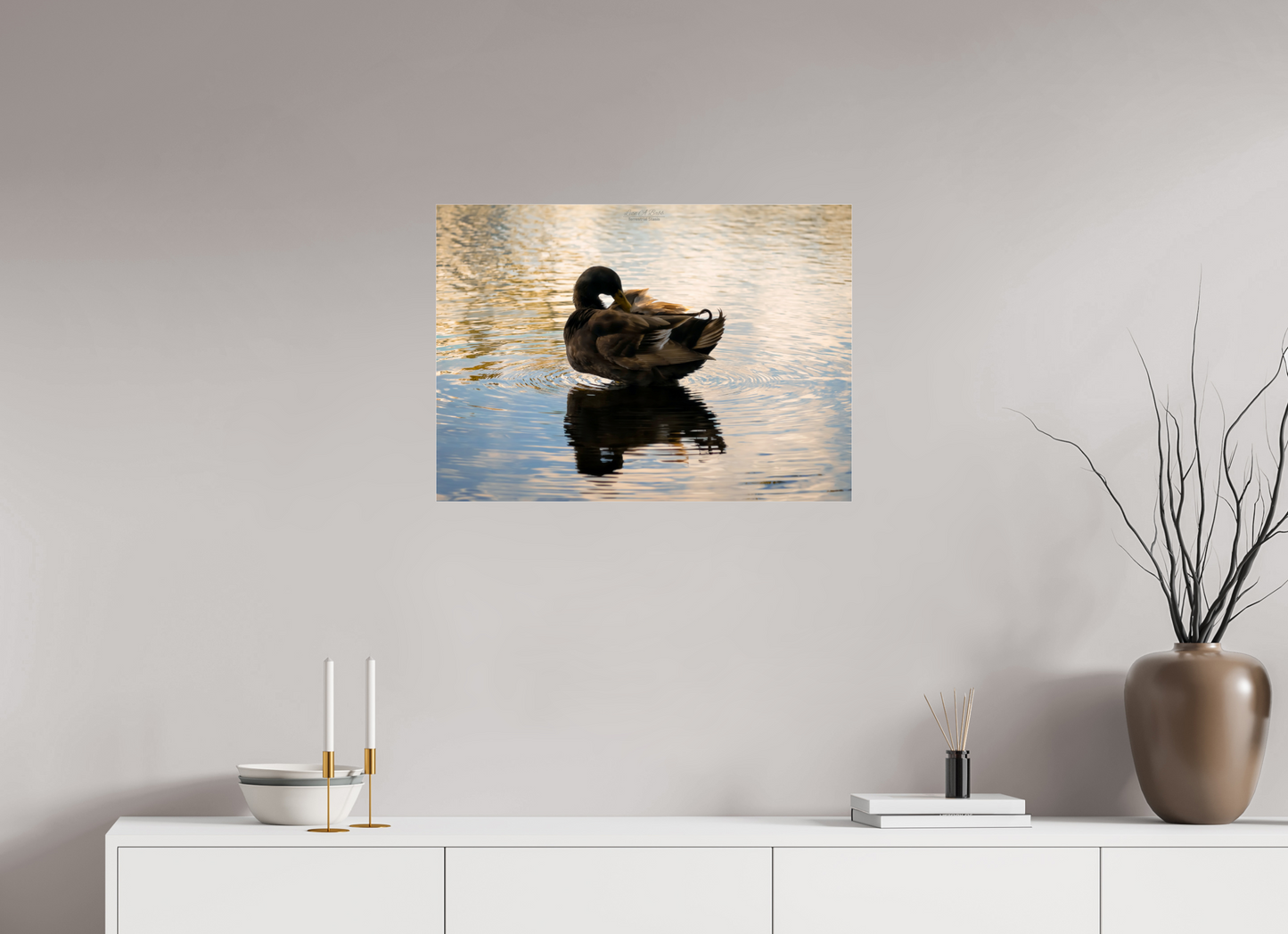 28 x 20″, Photo Print Under Acrylic Glass (08C) Quiet Drift on Wailoa River