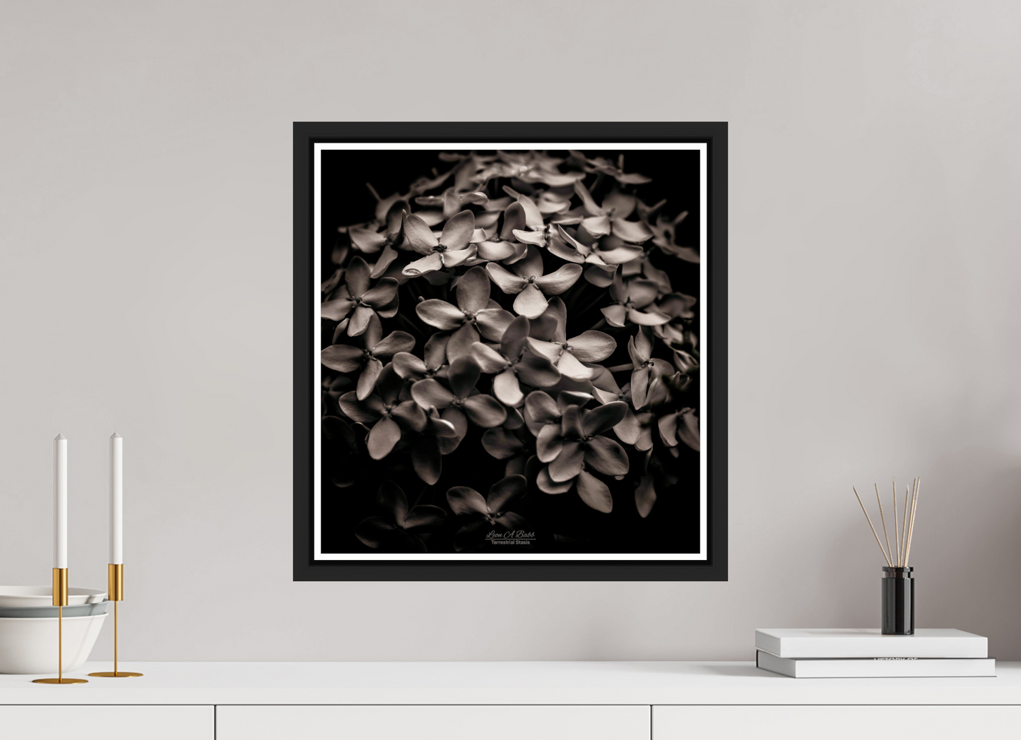 16 x 17″, Black Matte Floater Frame with Acrylic Glass (07D) Monochrome Garden