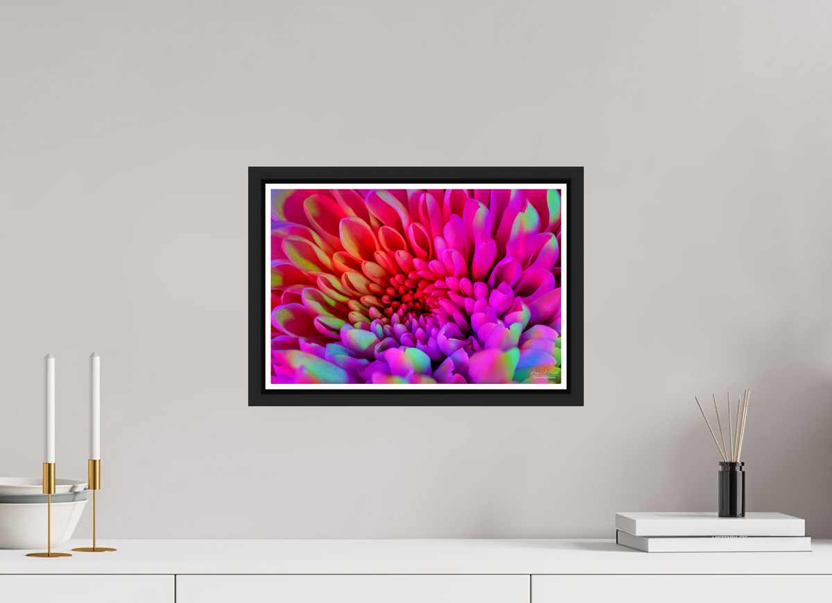 15 x 10″, Black Matte Floater Frame with Acrylic Glass ????