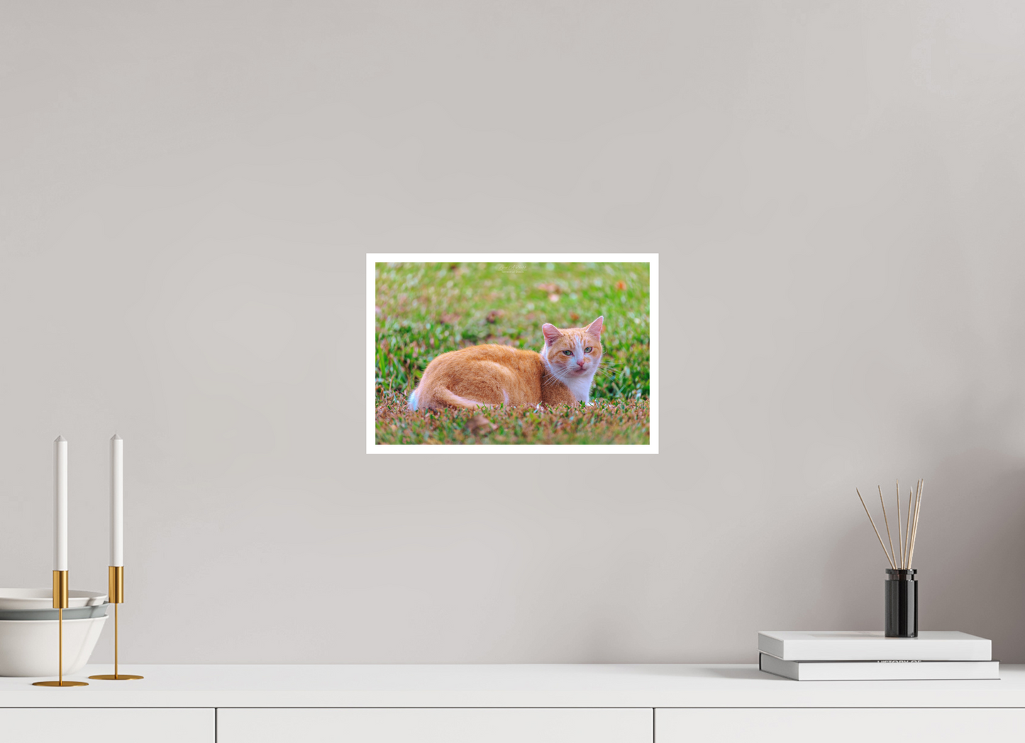 12 x 8″, Photo Print with Matte Lamination (08I) Spirit of the Park