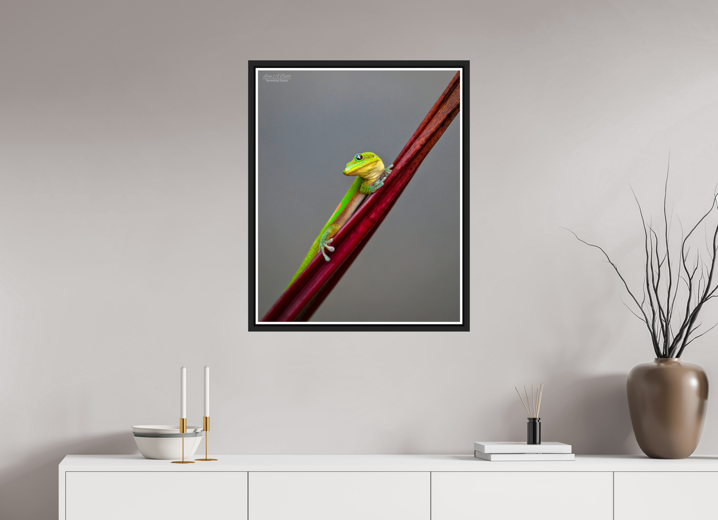 24 x 30″, Black Matte Floater Frame with Acrylic Glass (08R) Focused Stare