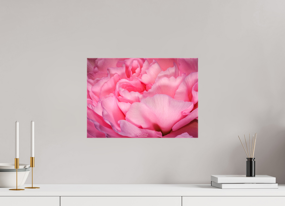16.8 x 12″, Glossy Canvas Stretcher Frame with Mirrored Edges Radiant Pink Petals