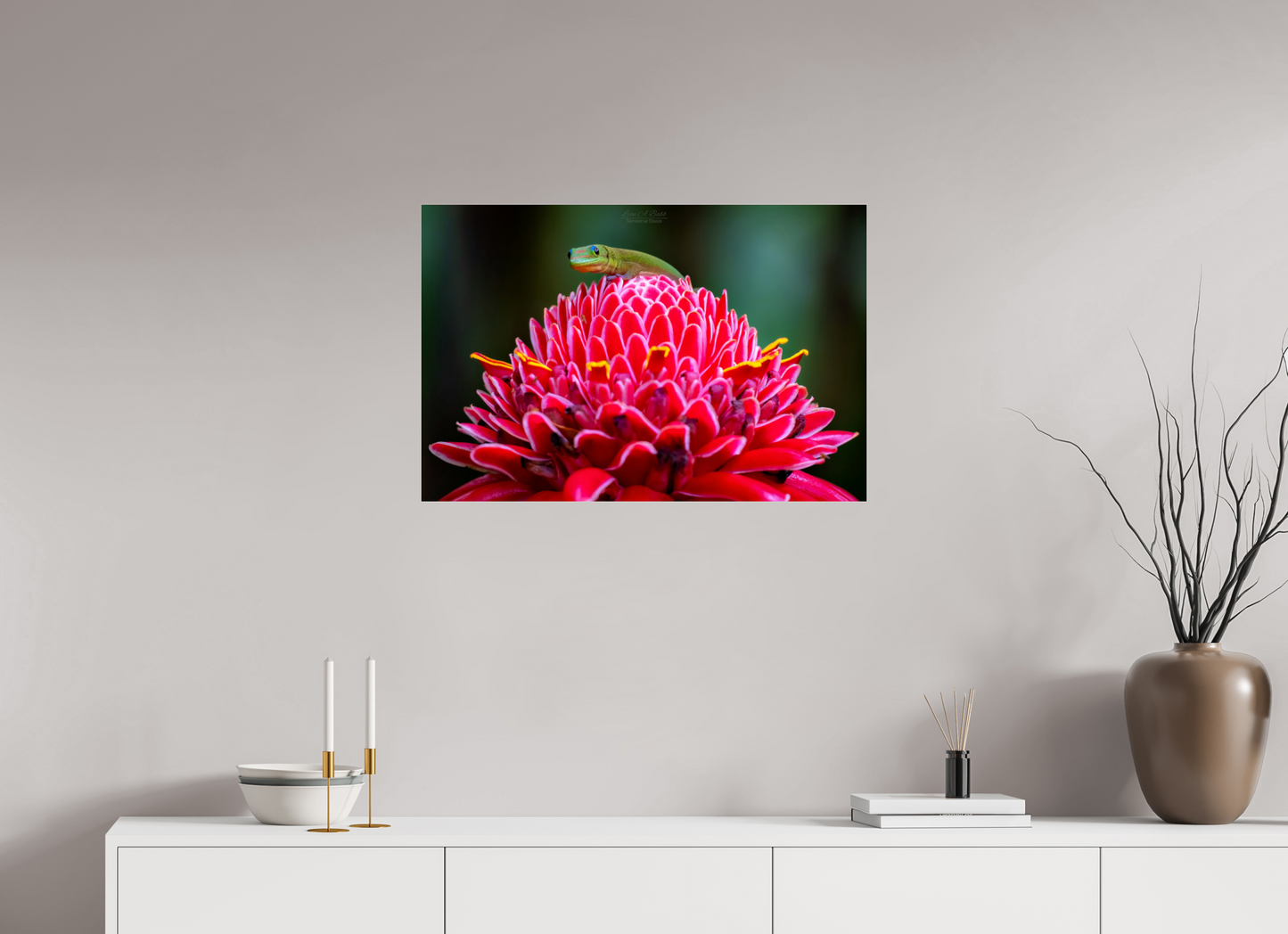 (08F) Gecko on a flower