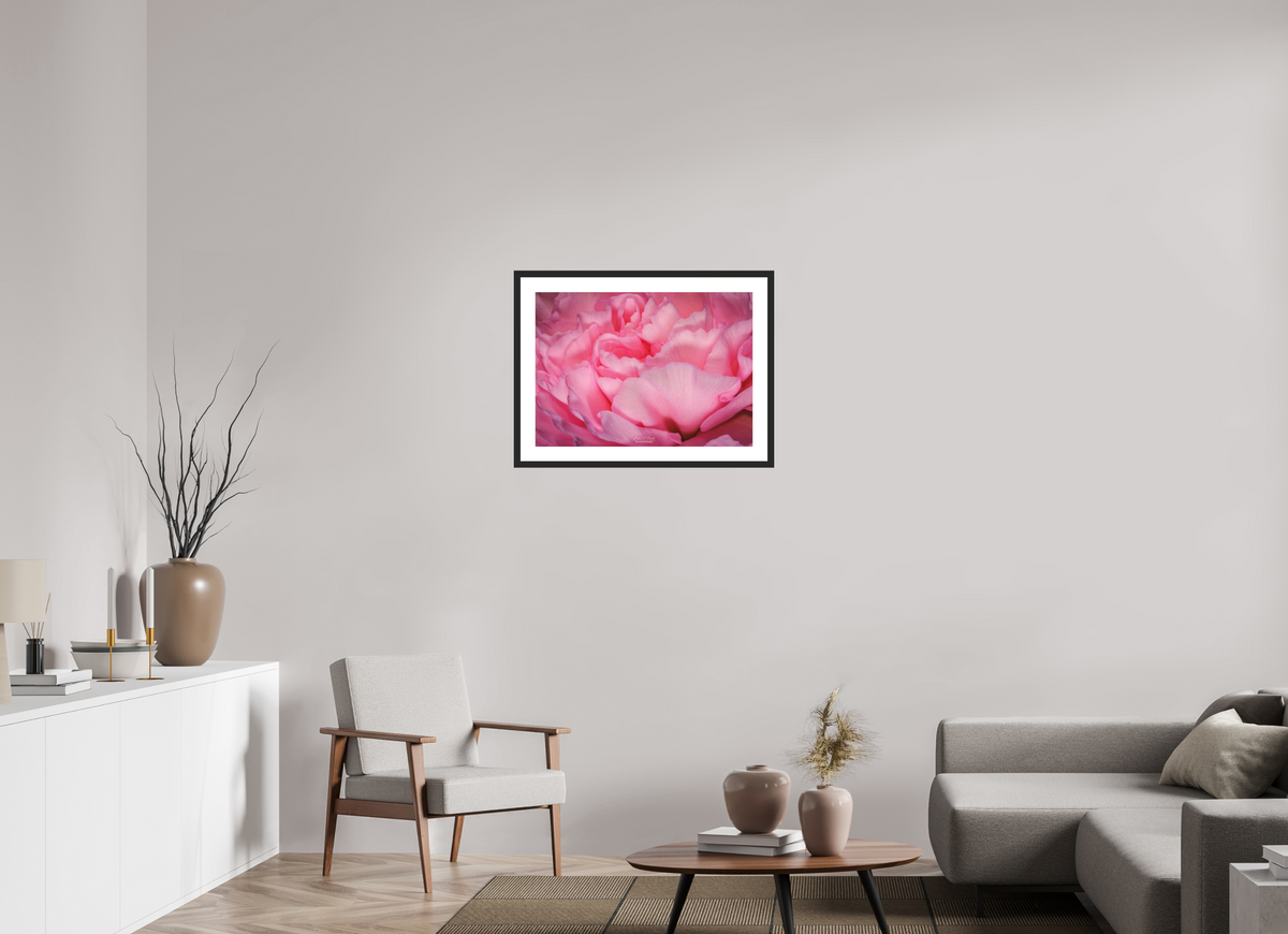 28 x 20″, Classic Black Matte Wood Frame Radiant Pink Petals