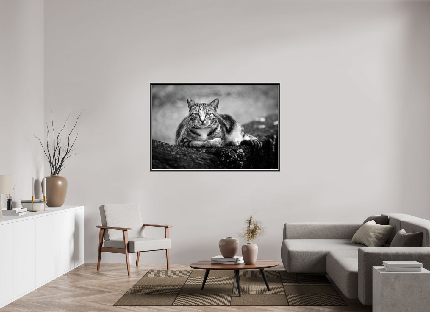 60 x 40″, Black Matte Floater Frame with Acrylic Glass (08G) Hawaii Strays in BnW