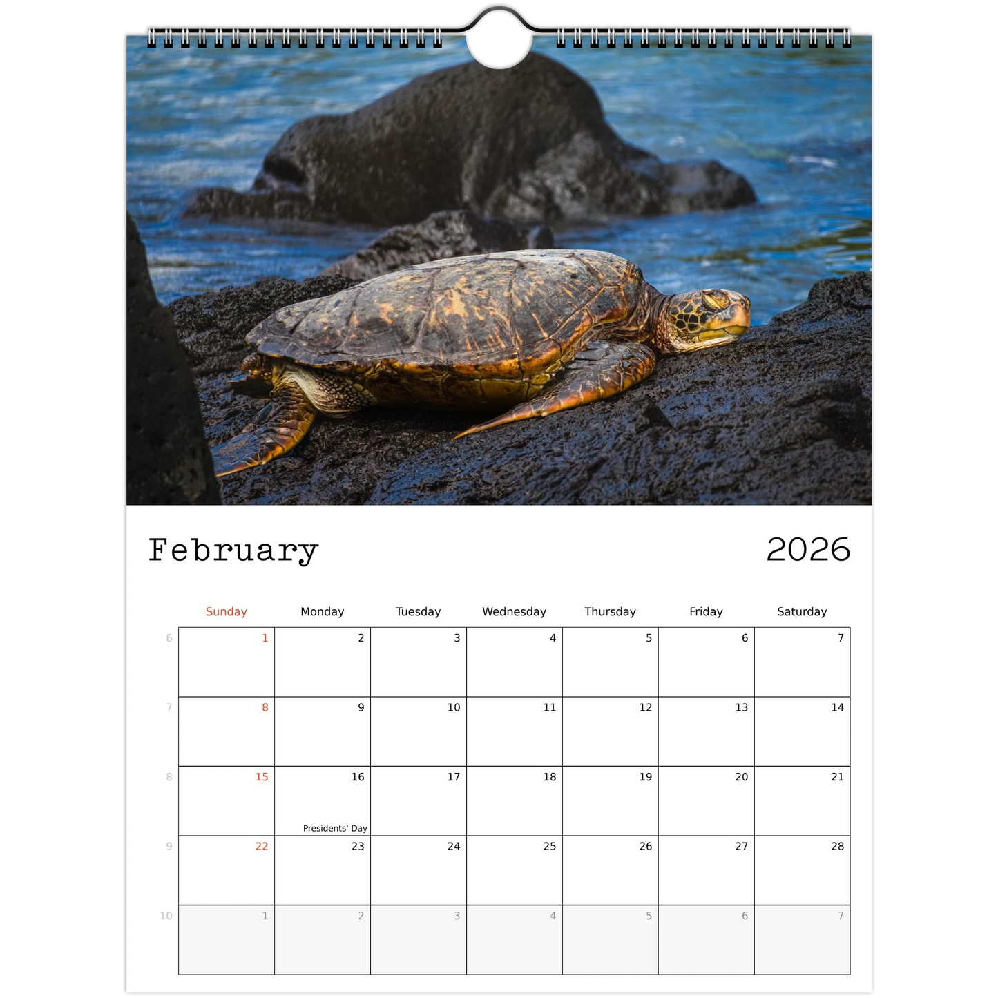 d123e66e-5341-4370-9d8c-02a1171ba7c8