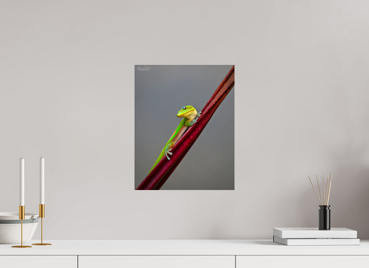 12 x 15″, Photo Print Under Acrylic Glass (08R) Focused Stare