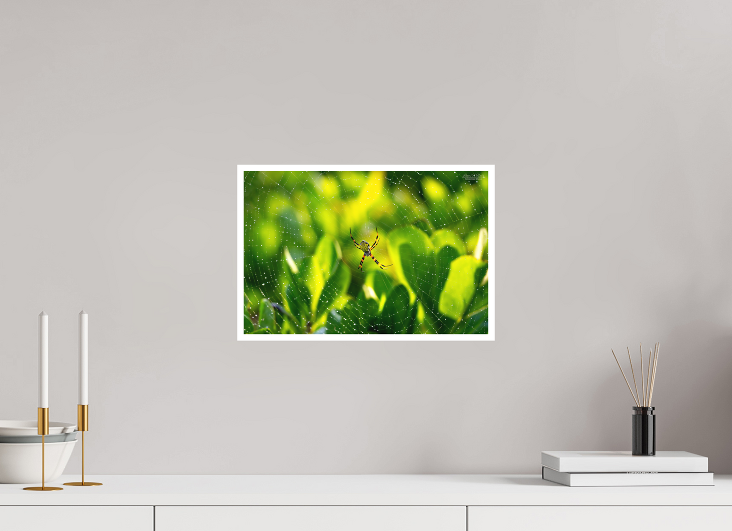 15 x 10″, Print with Matte Lamination (09C) Hawaiian Garden Spider